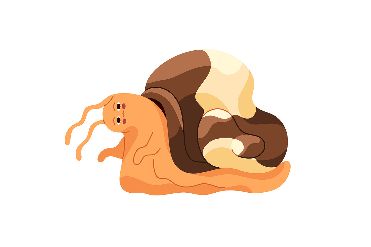 Cute, funny snails set + backgrounds, an Animal Illustration by PaperTrident (Photo 18 of 26)
