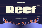 Pagvy, a Sans Serif Font by graphicook (Thumbnail 5 of 10)