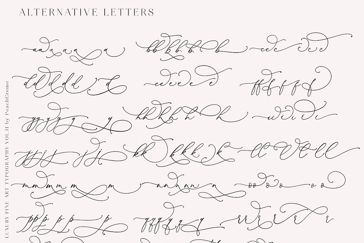 Darling Modern // Luxury Font, a Script Font by PeachCreme (Photo 23 of 29)