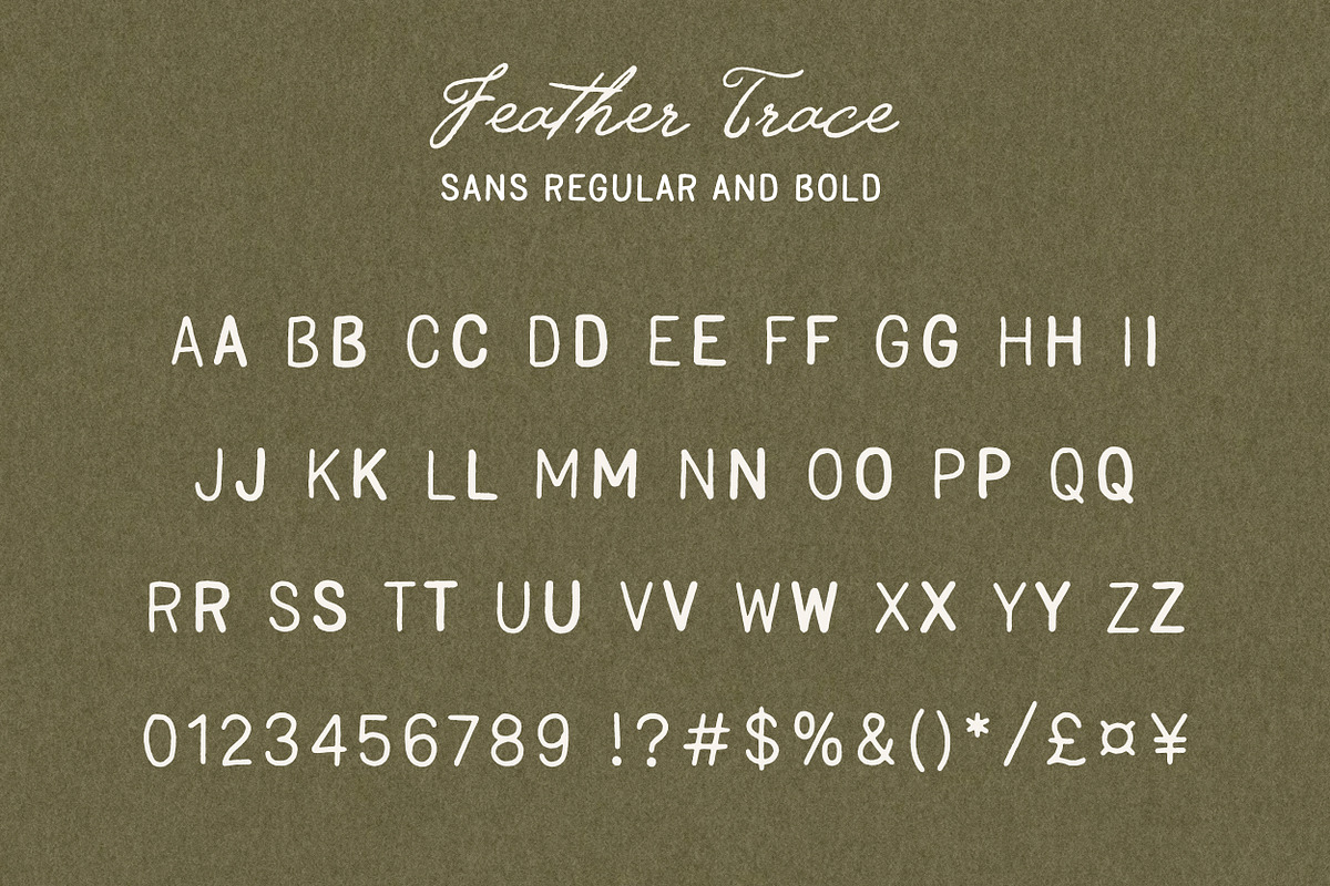 Feather Trace - Organic Font Duo, a Handwritten Font by Davide Bassu (Photo 11 of 11)