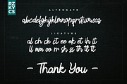 Slait Monoline Script, a Script Font by redmoodstudio (Thumbnail 7 of 7)