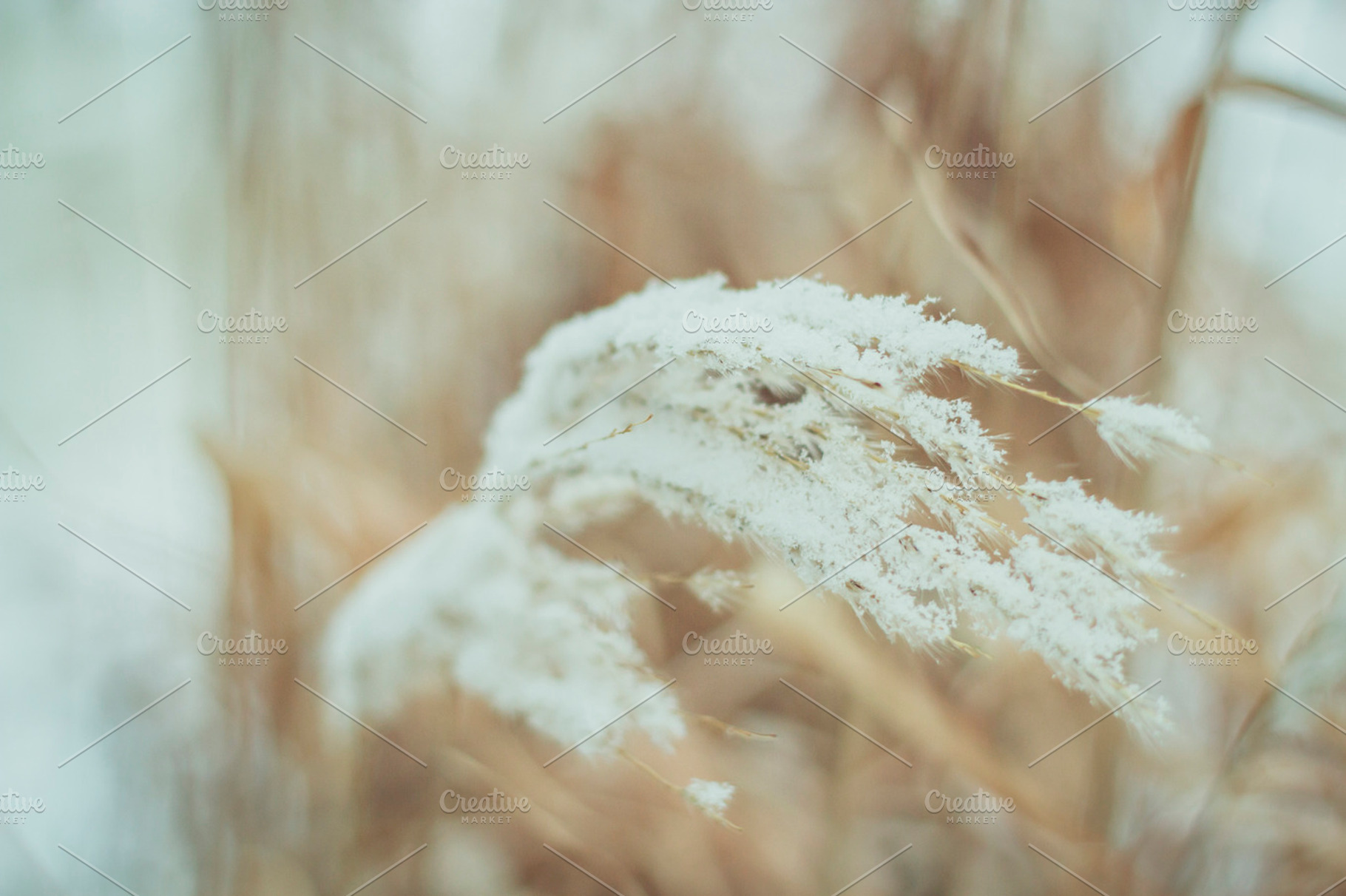Getting Cold