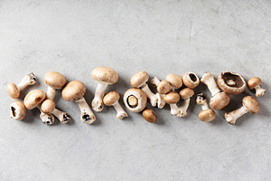 Fresh Brown Mushrooms with Moss on Light Gray Background, a Food & Drink Photo by Natalia Klenova's Shop