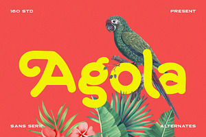 Agola Sans