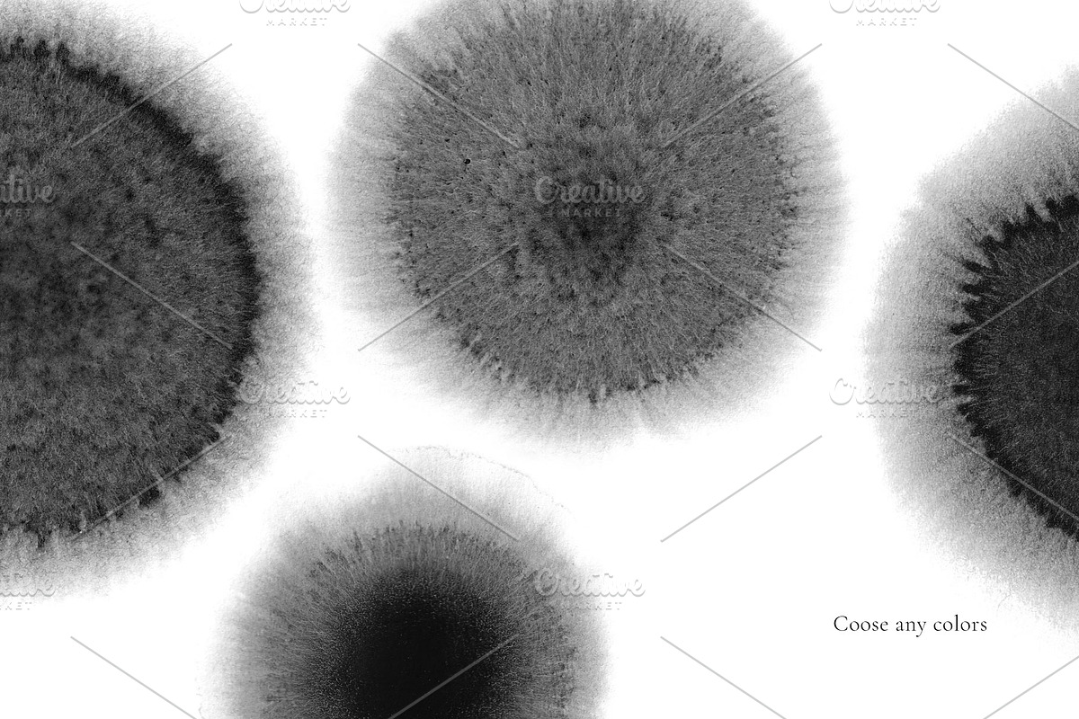 Rondo brushes, a Brush Add-On by Note And Silence (Photo 3 of 9)