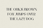 Rouganeck Modern Sans Serif Font, a Sans Serif Font by Heinzel Std (Thumbnail 13 of 13)