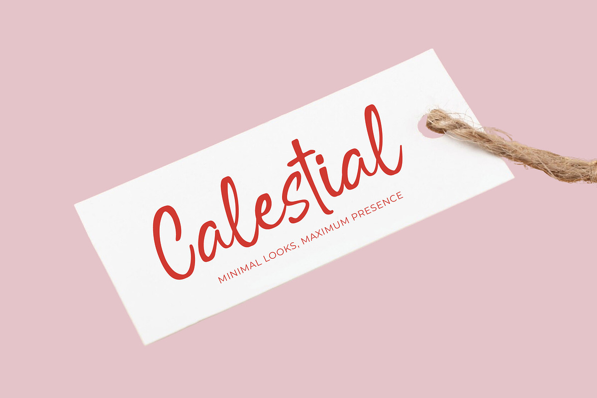 Outline Delighta Aesthetic Font, a Script Font by Letterena Studios Script (Photo 12 of 20)