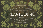 Rewilding, a Sans Serif Font by Fairwren Creative (Thumbnail 1 of 9)