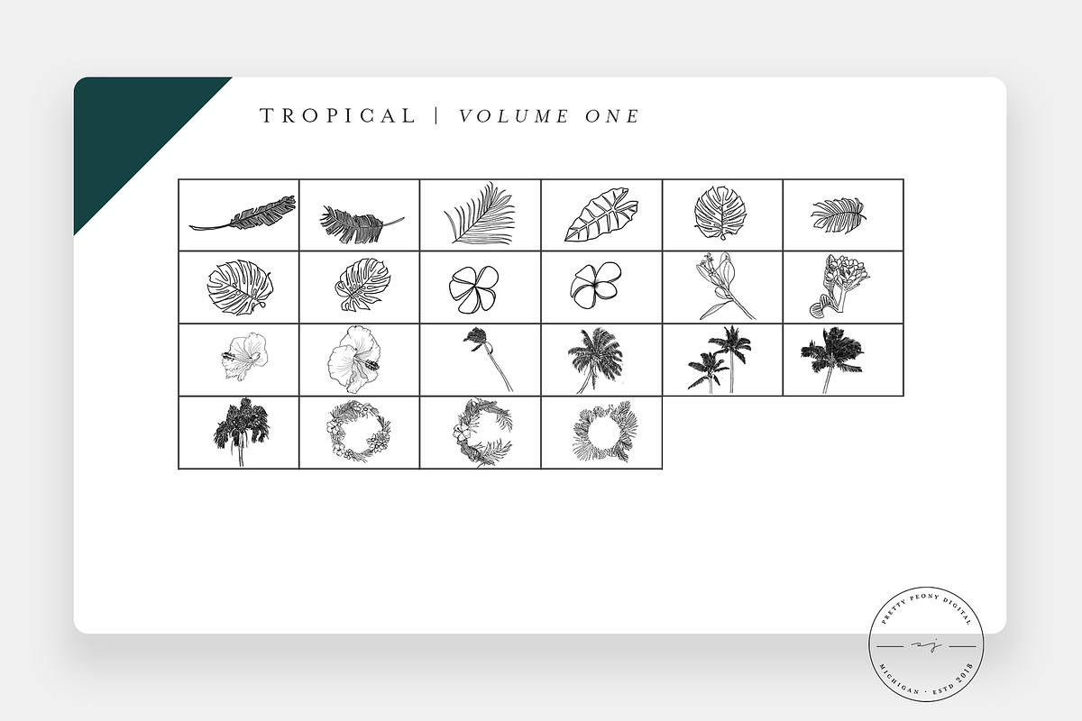 20 Tropical Stamps for Procreate, a Brush Add-On by SorrDesign (Photo 2 of 5)