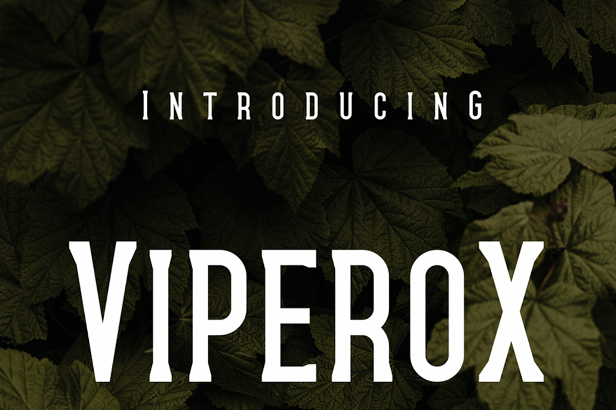 Viperox, a Sans Serif Font by lelevien (Photo 5 of 5)