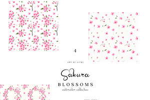 Sakura Blossoms Watercolor