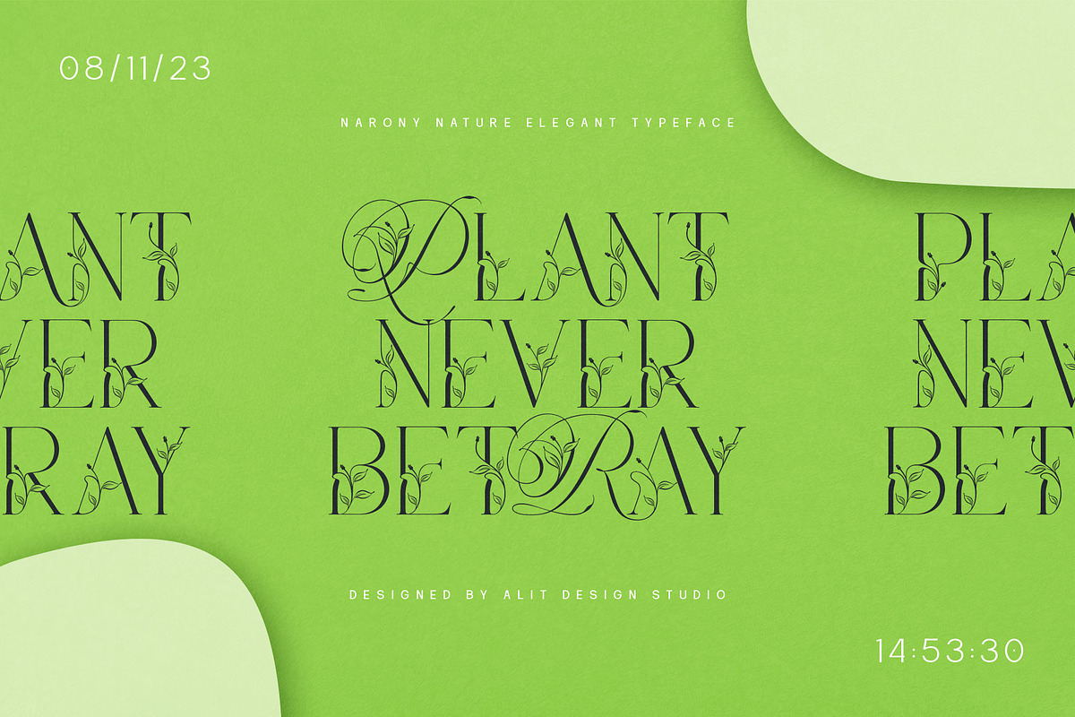 Narony Natural Typeface, a Sans Serif Font by alit design (Photo 13 of 20)