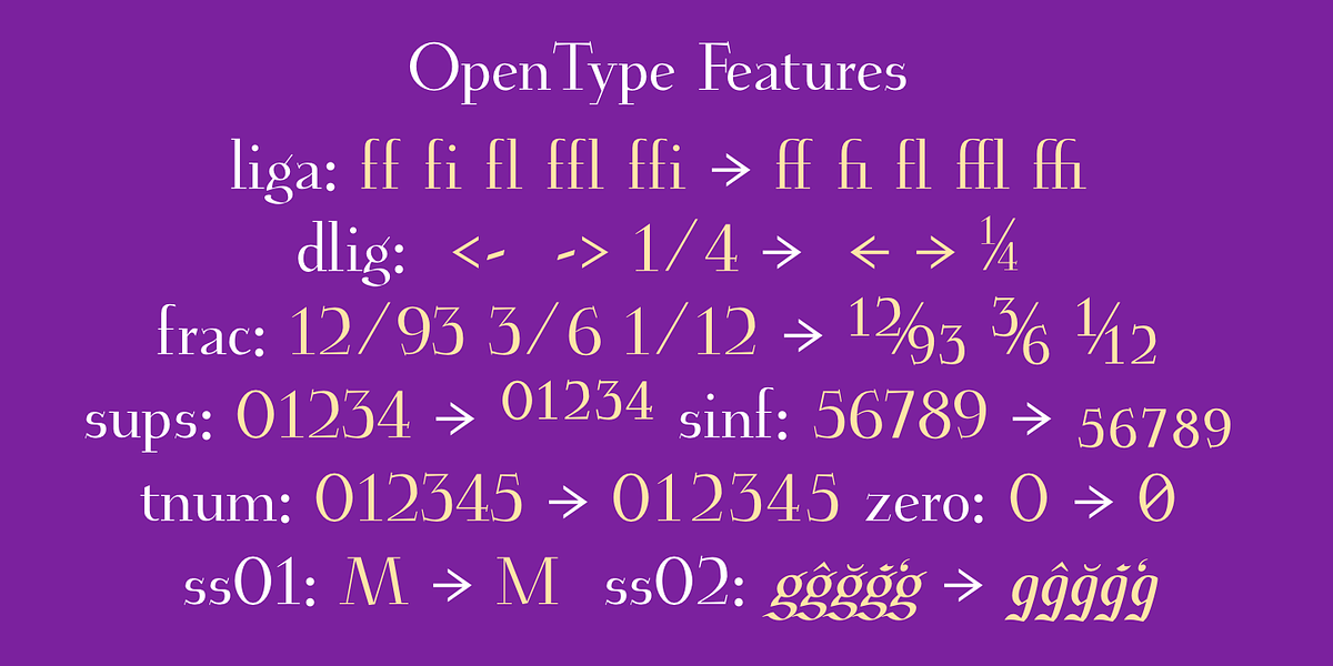 Euroika, a Serif Font by Ingrimayne Type (Photo 3 of 10)