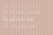 Handwritten Elegant Serif & Script, a Handwritten Font by Laras Wonderland (Thumbnail 13 of 16)