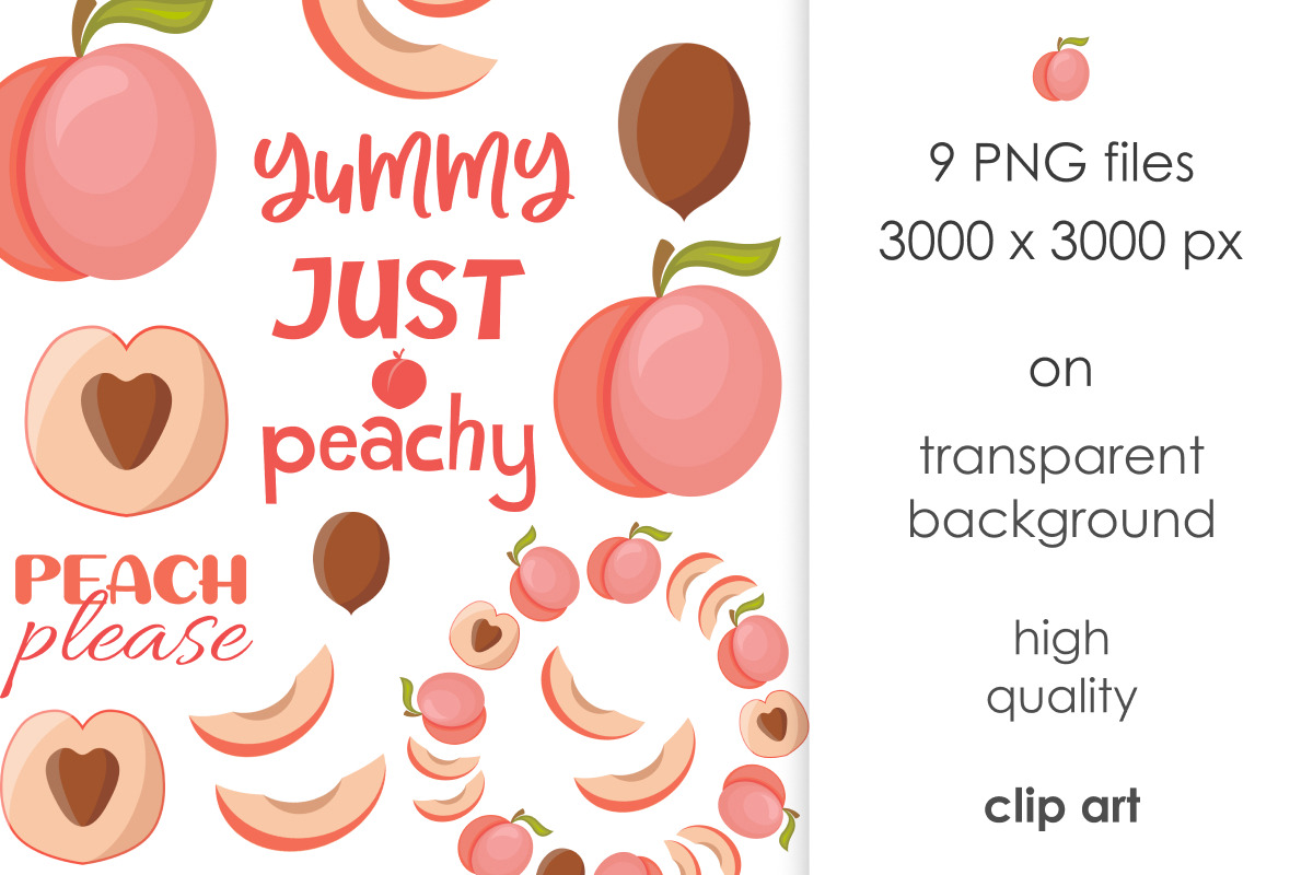 Peach set vector flat style, a Food Illustration by Whimsy Brush Studio (Photo 8 of 9)