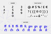 SS Tegua - Modern Sans Font, a Font by Typocracy Studio (Thumbnail 3 of 15)