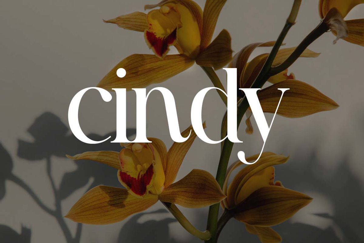 Brigton Newport Serif Font, a Serif Font by UICreative (Photo 6 of 13)