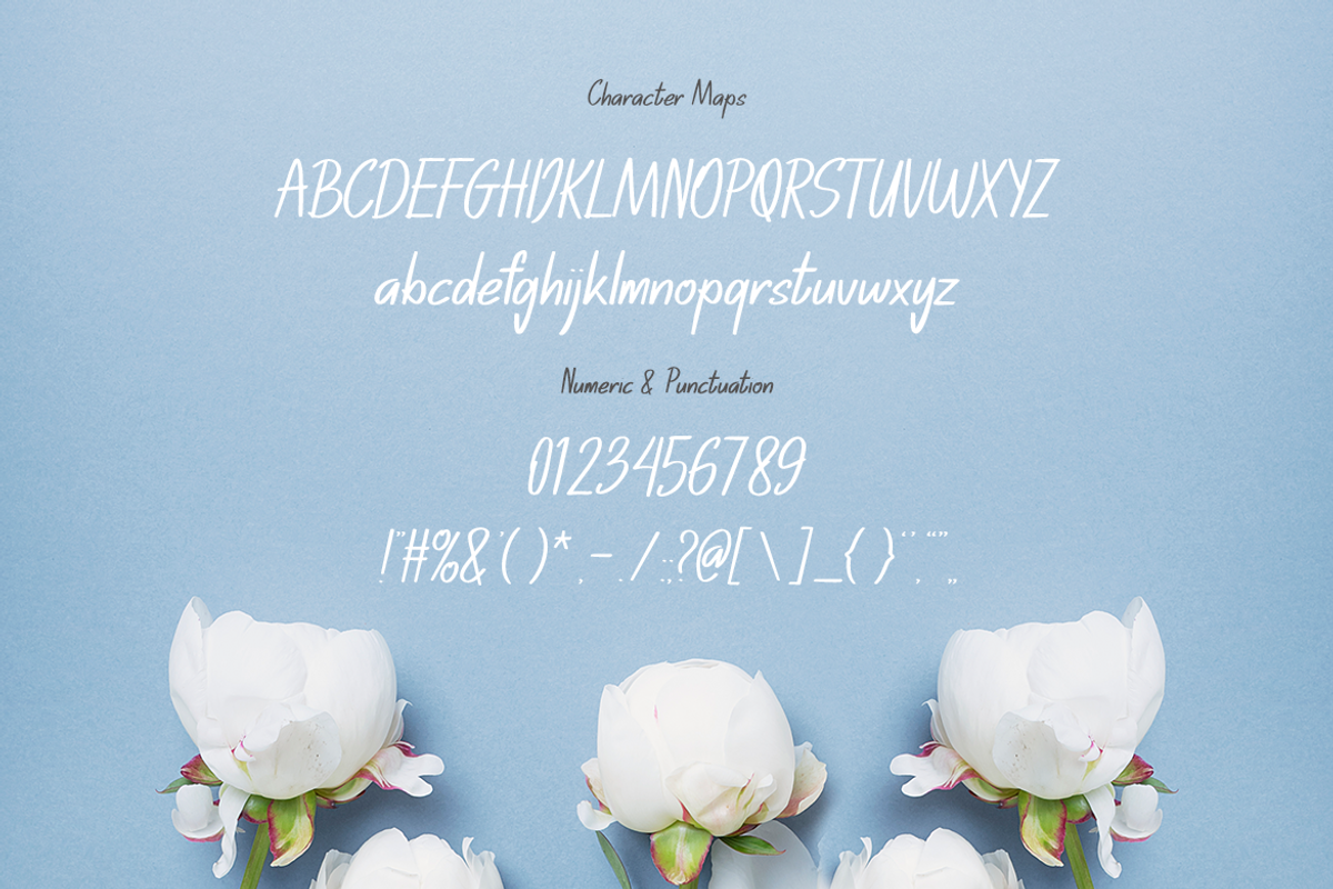 Anthony, a Serif Font by Pinisi ART (Photo 2 of 10)