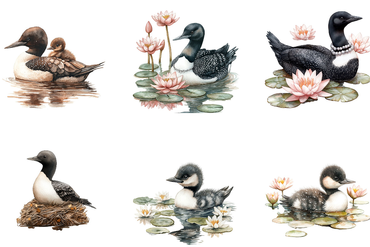 Watercolor loons Clipart, a Seasonal Illustration by Designking (Photo 3 of 5)