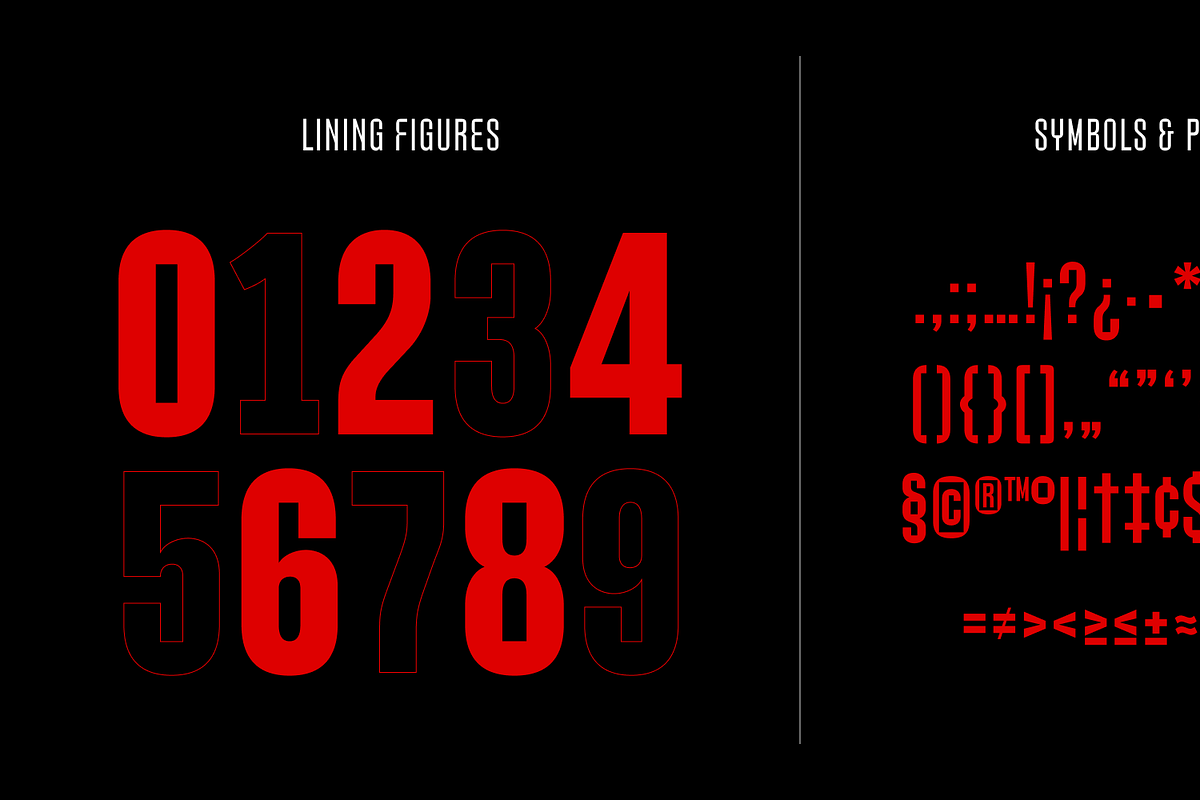 Strovius Condensed Font, a Sans Serif Font by redtype.studio (Photo 8 of 9)