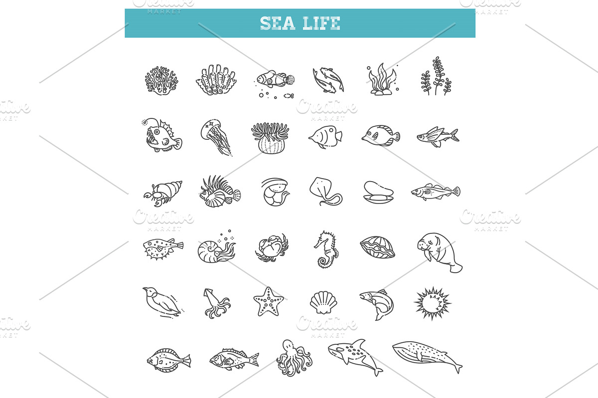 Set of sea life icons. Vector, an Animal Illustration by Tettygreen