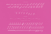 Petalip Orchid Modern Freestyle, a Script Font by Letterena Studios Script (Thumbnail 14 of 15)