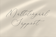 Waittelian Grolinda, a Script Font by Storytype Studio (Thumbnail 12 of 15)