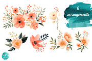 Peach Watercolor Florals, a Decorative Illustration by Verdigris Studios (Thumbnail 2 of 4)