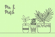 Hand Drawn House Plant Illustrations, an Illustration by Hannah Eliza Studio (Thumbnail 4 of 5)