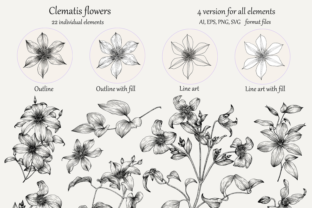 Flowers of Clematis. Botanical Set, a Decorative Illustration by ON_lineart_store (Photo 2 of 10)