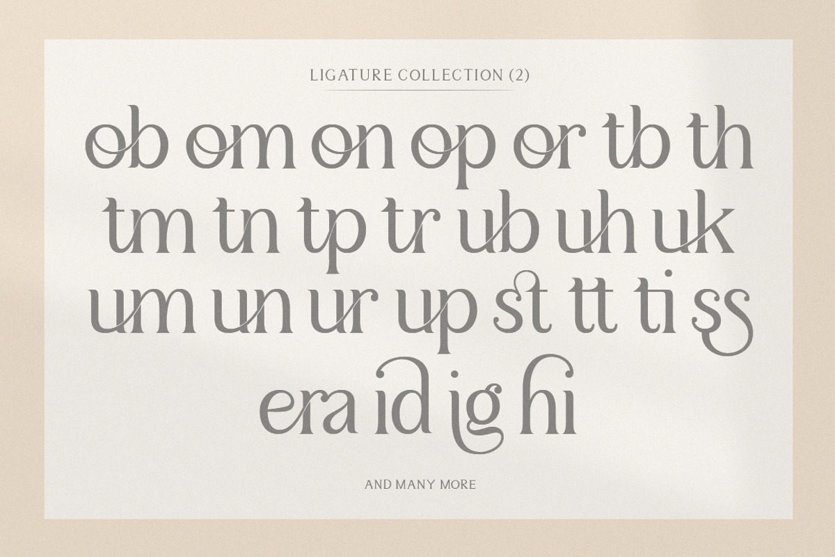 Sulangor, a Serif Font by Mantype Studio (Photo 10 of 14)