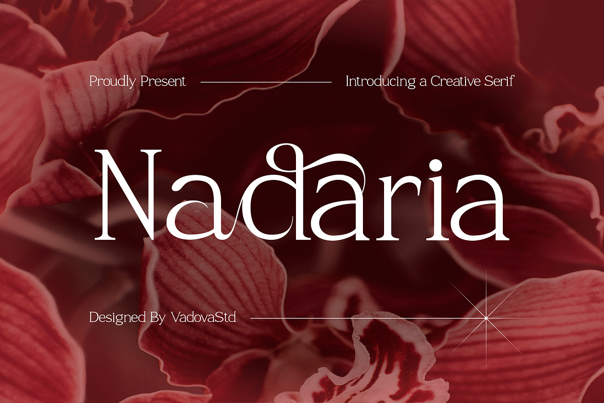 Nadaria - Creative Serif Font, a Serif Font by Vadovastd (Photo 1 of 7)