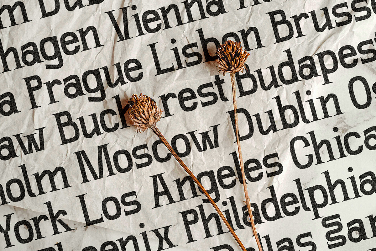 SLTF Winner Baroque - Ligature Serif, a Serif Font by SilverStag Type Foundry (Photo 7 of 30)
