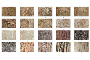 20 Tree Bark Textures