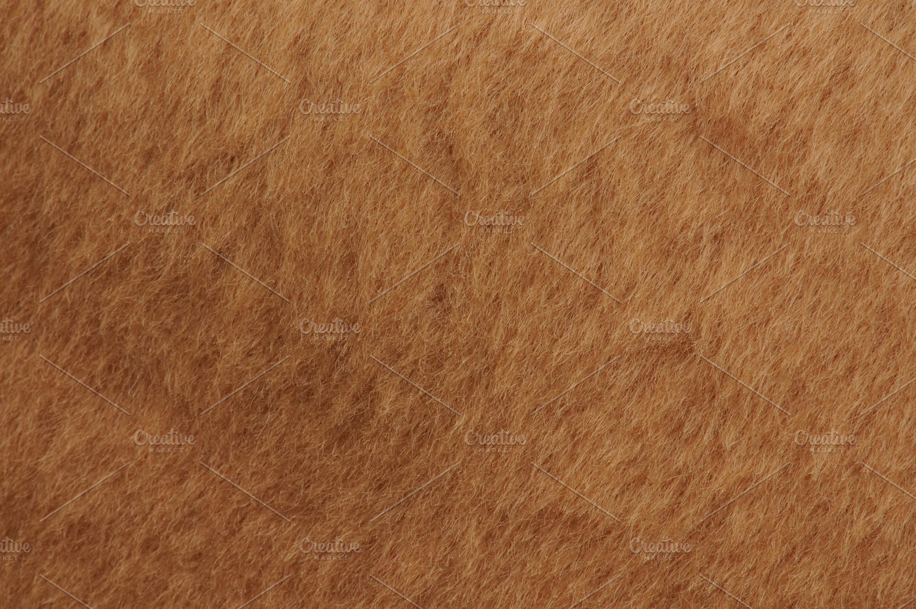Short brown cub fur, an Abstract Photo by PixieMe