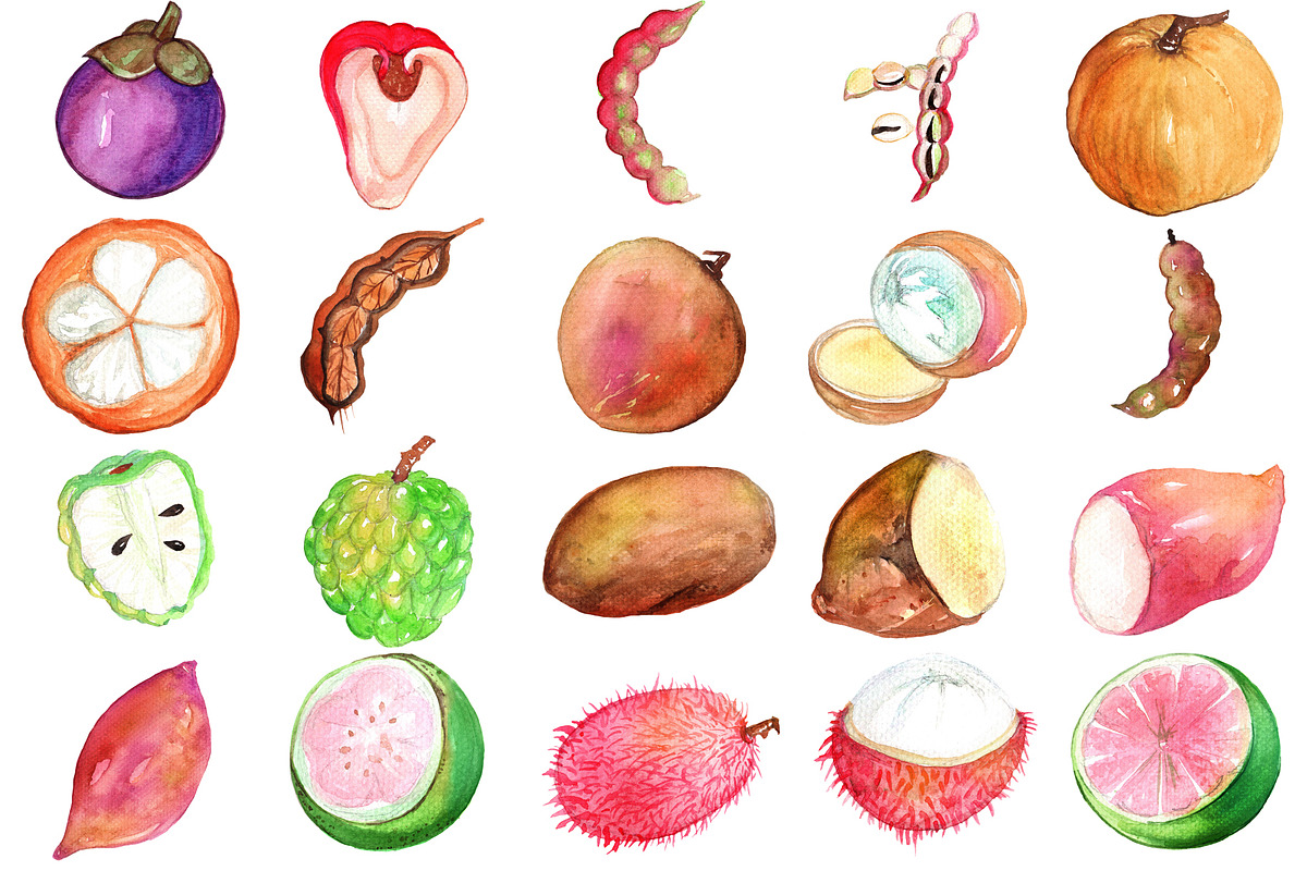 99 PHILIPPINE ICONS! Watercolor PNG, an Illustration by LilyBoo Clipart (Photo 5 of 6)