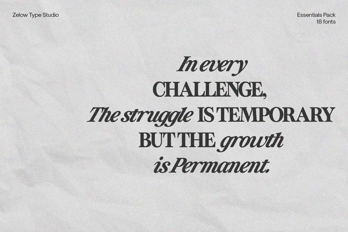 ZT Otez Essentials – 18-Font Serif, a Serif Font by zelow type (Photo 9 of 20)