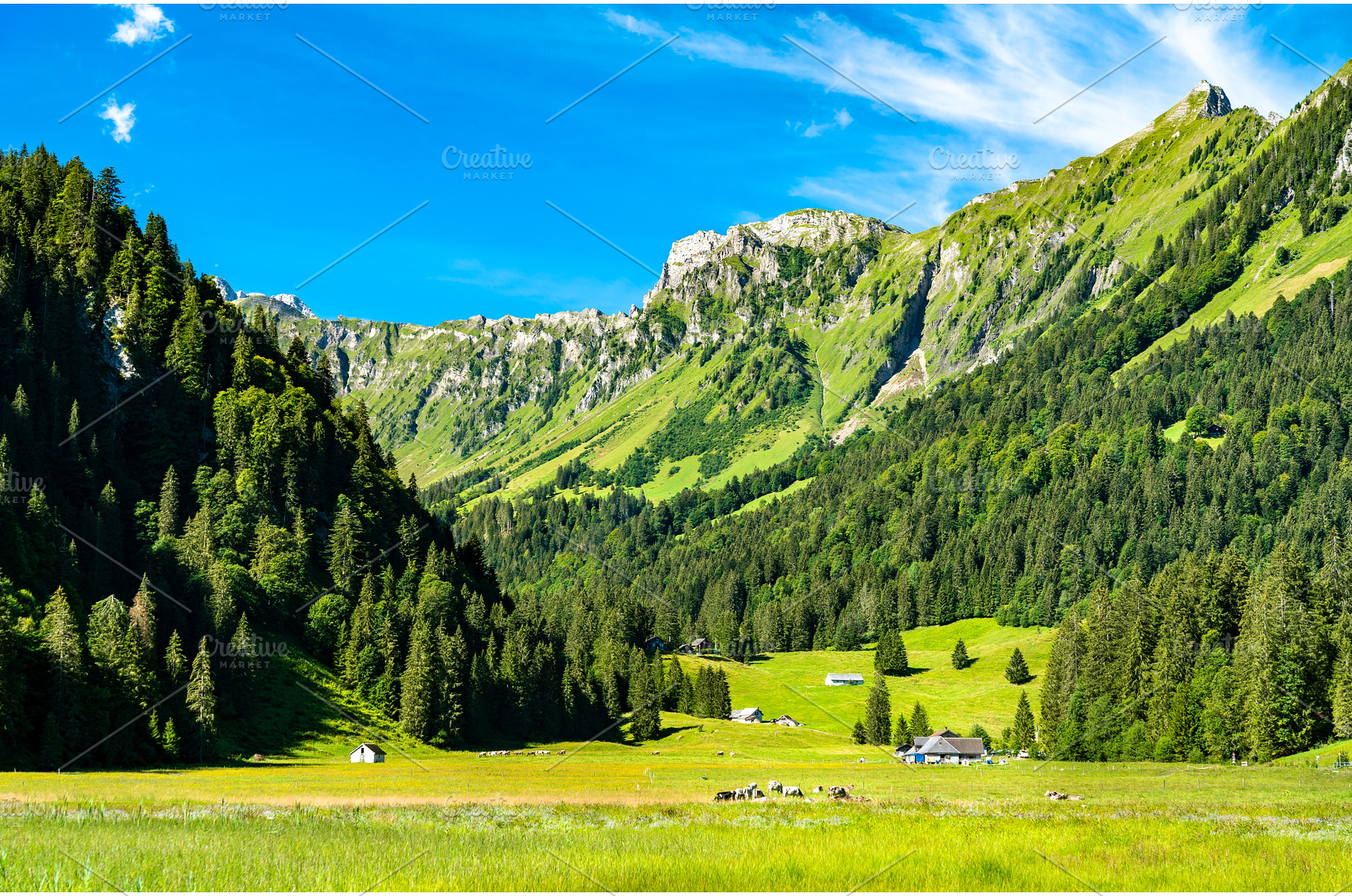 Landscape of the Obersee Valley in, a Nature Photo by Leonid Andronov