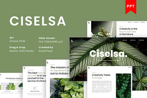 CISELSA - PowerPoint Presentation