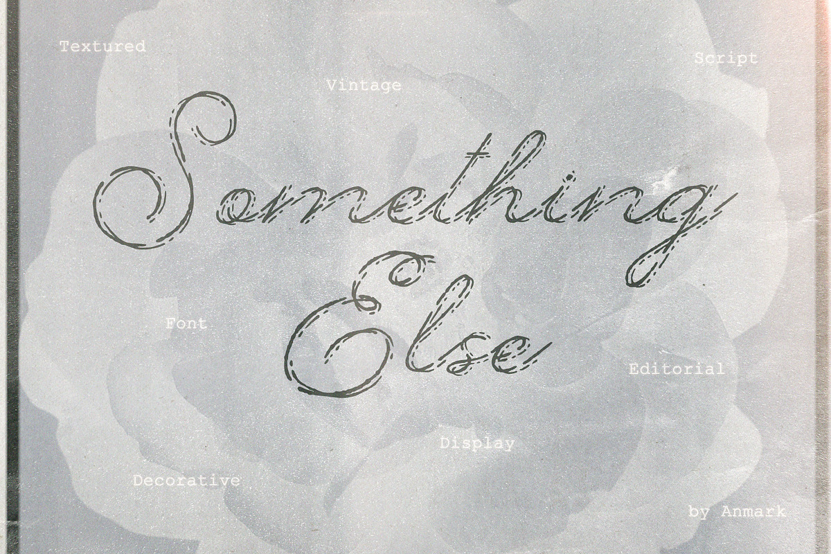 Something Else Textured Script, a Script Font by AnMark (Photo 1 of 10)