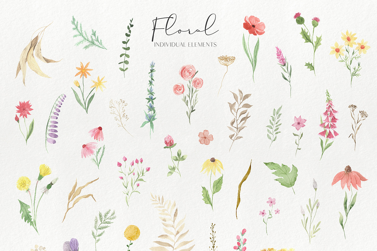 Watercolor Wildflowers Graphic Set, a Graphic by LarysaZabrotskaya (Photo 9 of 11)