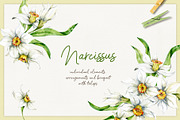 Spring flowers - watercolor clipart, a Decorative Illustration by long summer (Thumbnail 5 of 7)