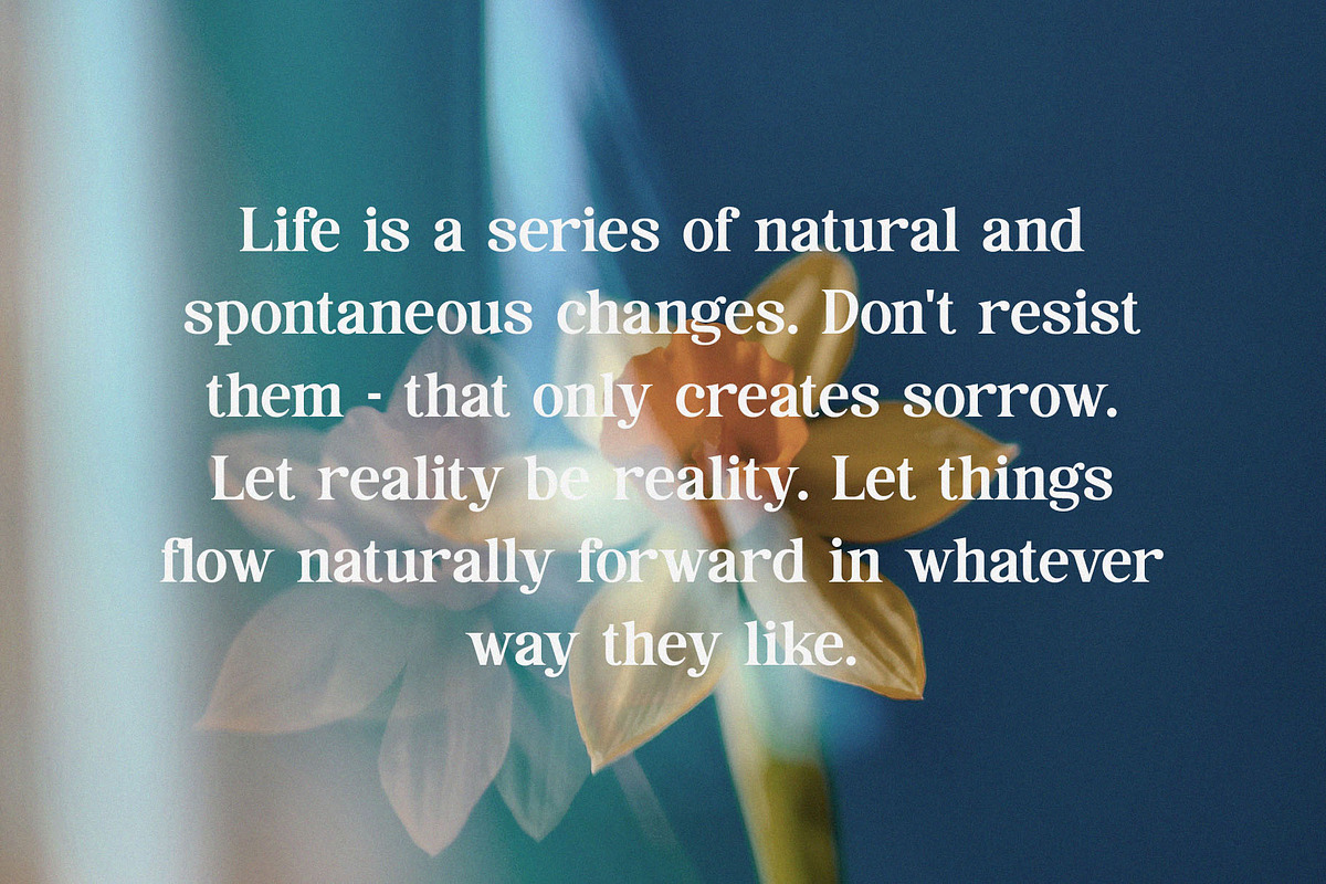 Rakonde - Classy & Stylish Serif, a Serif Font by TypeLogue (Photo 3 of 5)