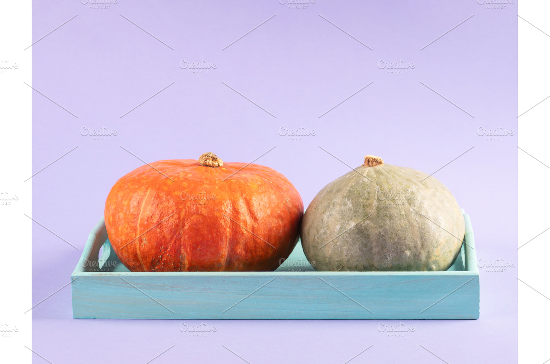 Colorful pumpkins on purple, a Food & Drink Photo by Lifemorning