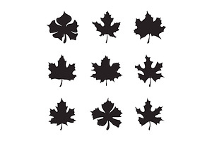 Maple-leaf silhouette