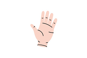 Hand. Human internal organ. Vector, an Object Illustration by GraphiShop