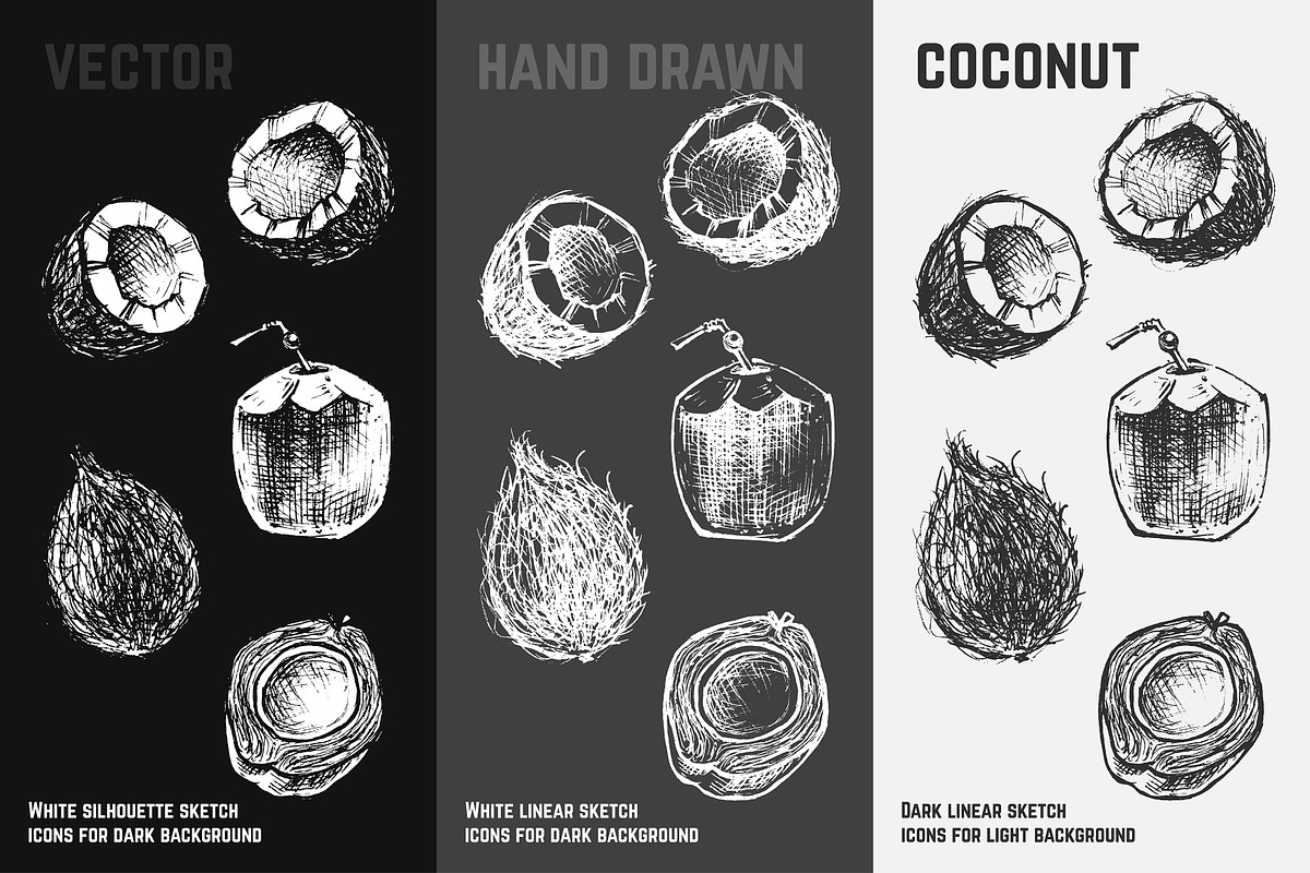 Fruits - hand drawn vector set, a Food Illustration by Margo Miller (Photo 18 of 25)