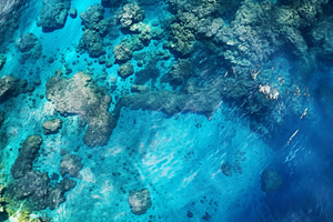 Aerial top view of sea and coral, a Photo by Lopatin Photo
