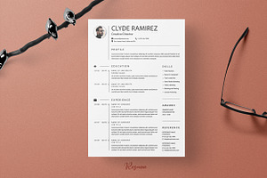 Clean Resume/CV Word