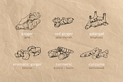 Pencil Drawing Indonesian Spices, an Illustration by elpple (Thumbnail 2 of 4)